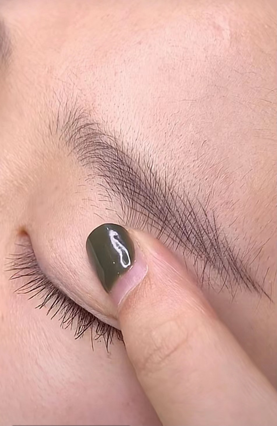 精灵野生眉